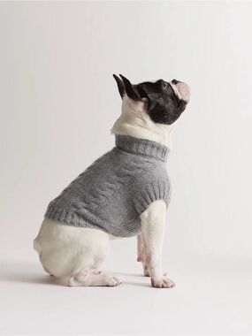 Quince Gray Cable Knit cashmere dog sweater xs new